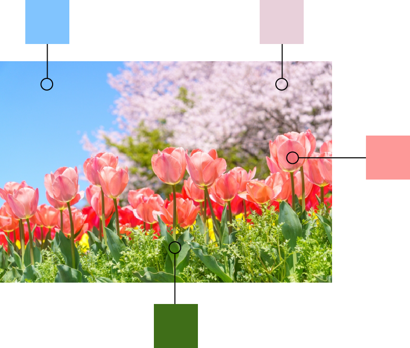 風景の写真から色を抽出している図