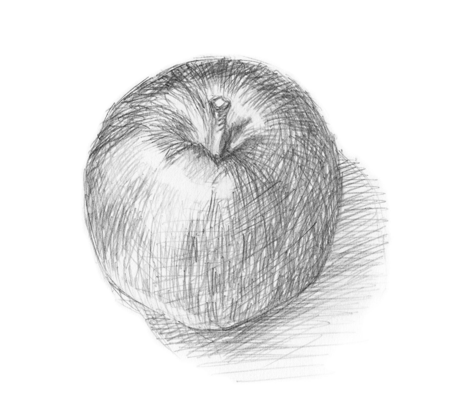 りんごのデッサンの写真
